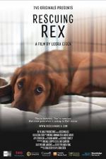 Watch Rescuing Rex 123netflix