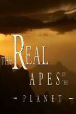 Watch The Real Apes of the Planet 123netflix