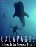 Watch Galapagos: Realm of Giant Sharks 123netflix