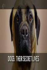 Watch Dogs: Their Secret Lives 123netflix