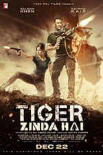 Watch Tiger Zinda Hai 123netflix