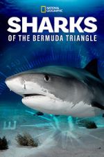 Watch Sharks of the Bermuda Triangle (TV Special 2020) 123netflix