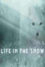 Watch Life in the Snow 123netflix