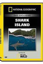 Watch National Geographic: Shark Island 123netflix