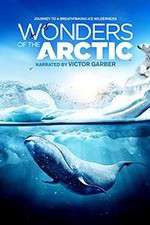 Watch Wonders of the Arctic 3D 123netflix