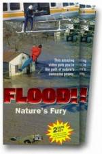 Watch Flood 123netflix
