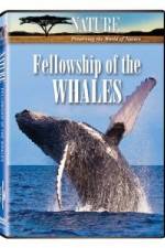 Watch Fellowship Of The Whales 123netflix