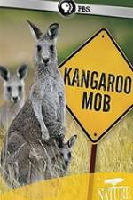 Watch Kangaroo Mob 123netflix