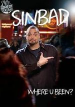 Watch Sinbad: Where U Been? 123netflix