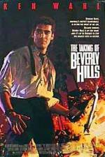 Watch The Taking of Beverly Hills 123netflix