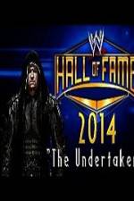 Watch WWE Hall Of Fame 2014 123netflix