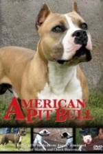 Watch American Pit Bull 123netflix