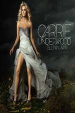 Watch Carrie Underwood: The Blown Away Tour Live 123netflix