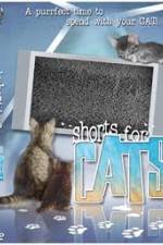 Watch Shorts for Cats 123netflix