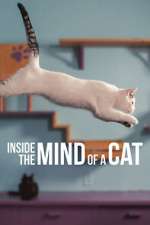Watch Inside the Mind of a Cat 123netflix