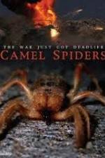 Watch Camel Spiders 123netflix