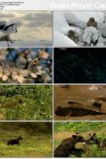 Watch National Geographic: Japans Hidden Secrets 123netflix