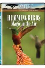 Watch Hummingbirds Magic in the Air 123netflix