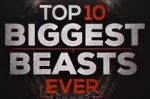 Watch Top 10 Biggest Beasts Ever 123netflix