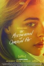 Watch The Miseducation of Cameron Post 123netflix