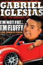 Watch Gabriel Iglesias I'm Not Fat I'm Fluffy 123netflix