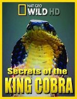 Watch Secrets of the King Cobra 123netflix