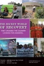 Watch The Secret World of Recovery 123netflix