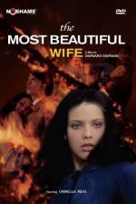 Watch The Most Beautiful Wife 123netflix