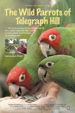 Watch The Wild Parrots of Telegraph Hill 123netflix