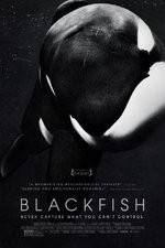 Watch Blackfish 123netflix