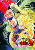 Watch Dragon Ball Z: Wrath of the Dragon 123netflix