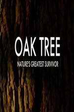 Watch Oak Tree Natures Greatest Survivor 123netflix