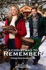 Watch A Christmas to Remember 123netflix