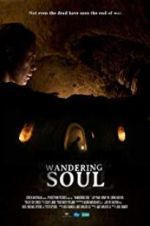 Watch Wandering Soul 123netflix