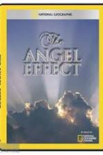 Watch National Geographic Explorer - The Angel Effect 123netflix