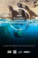 Watch Planet Earth: A Celebration 123netflix