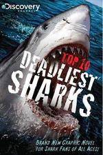 Watch National Geographic Worlds Deadliest Sharks 123netflix