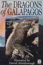 Watch The Dragons of Galapagos 123netflix