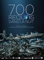 Watch 700 requins dans la nuit 123netflix
