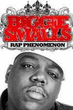 Watch Biggie Smalls Rap Phenomenon 123netflix