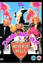 Watch Down and Out in Beverly Hills 123netflix