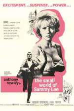 Watch The Small World of Sammy Lee 123netflix