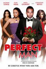 Watch The Perfect Man 123netflix