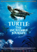 Watch Turtle: The Incredible Journey 123netflix