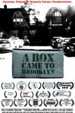 Watch A Box Came to Brooklyn 123netflix