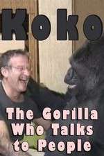 Watch Koko: The Gorilla Who Talks to People 123netflix