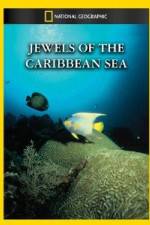 Watch National Geographic Jewels of the Caribbean Sea 123netflix
