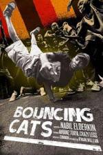Watch Bouncing Cats 123netflix
