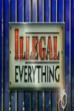 Watch Illegal Everything 2012 123netflix