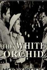Watch The White Orchid 123netflix